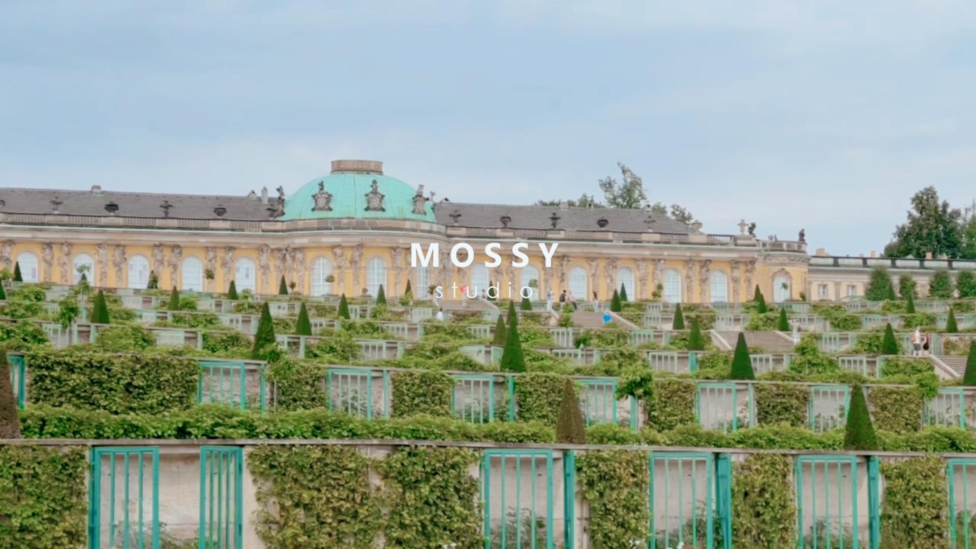Charger la vidéo : mossy studio be adventurous leather handbag minimalist elegant